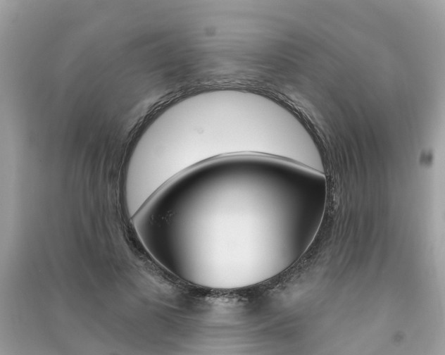X0000091290693200708101026