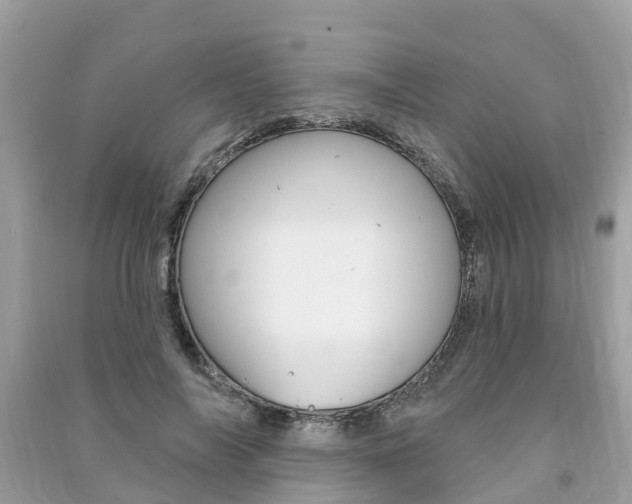 X0000091290694200708101026