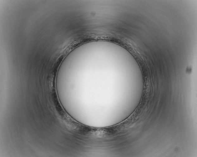 X0000091290695200708101026