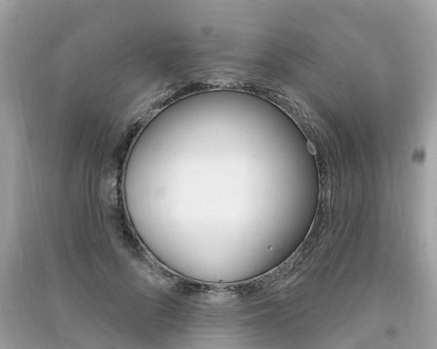 X0000091290696200708101026