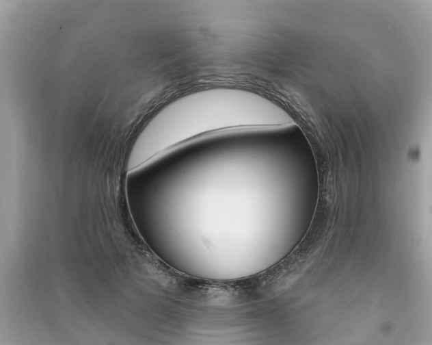 X0000091290697200708101026