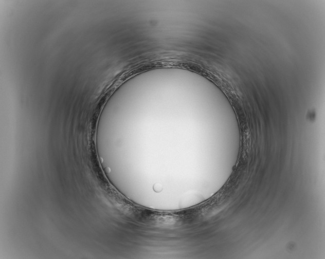 X0000091290698200708101026