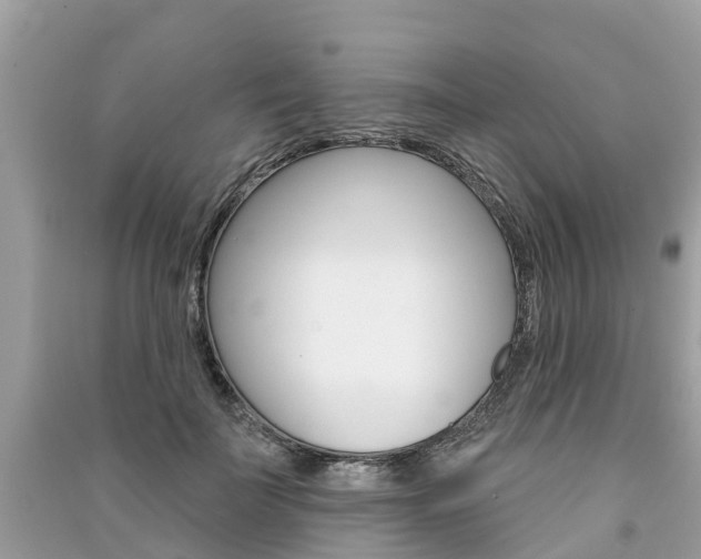 X0000091290699200708101026