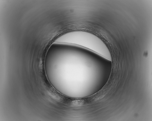 X0000091290700200708101026