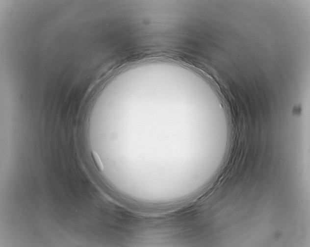 X0000091290701200708101026