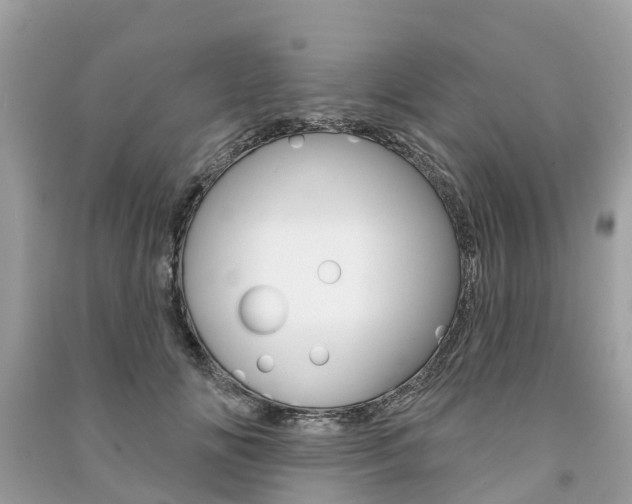 X0000091290702200708101026