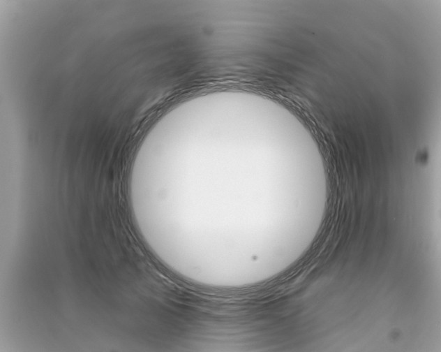 X0000091290705200708101026