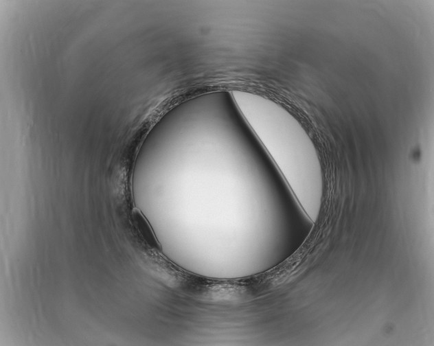 X0000091290708200708101026