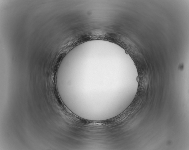X0000091290711200708101026