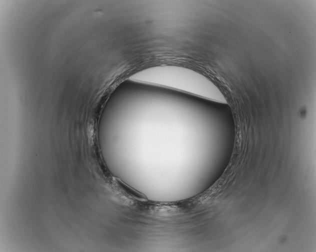X0000091290716200708101026