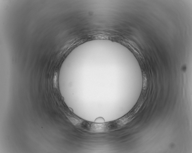 X0000091290717200708101026