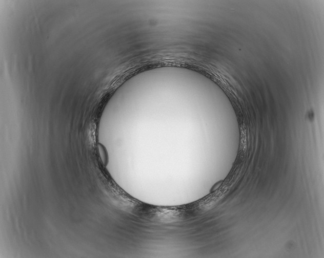 X0000091290718200708101026