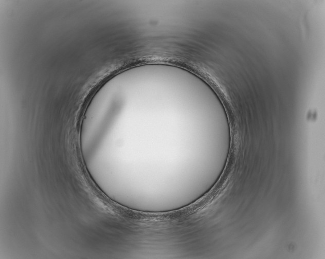 X0000091290721200708101025
