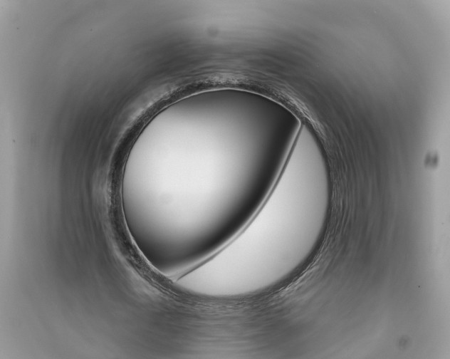 X0000091290722200708101025