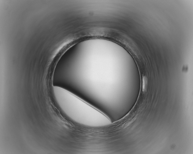 X0000091290723200708101025