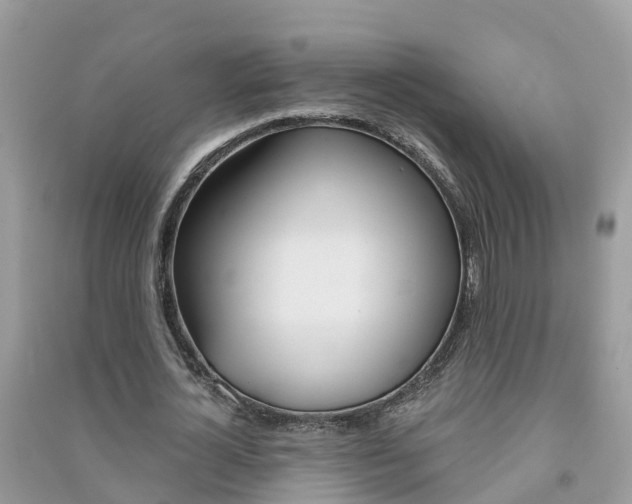 X0000091290724200708101025