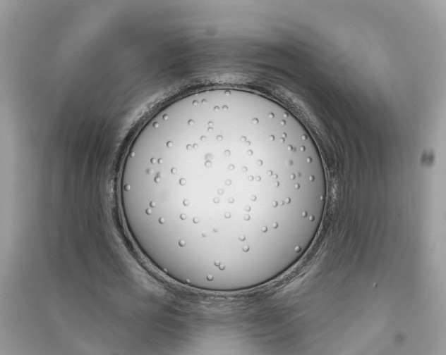 X0000091290725200708101025