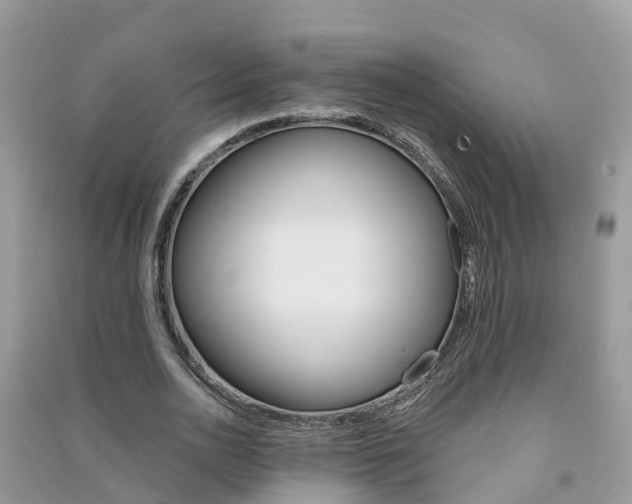 X0000091290726200708101025