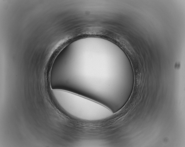 X0000091290727200708101025