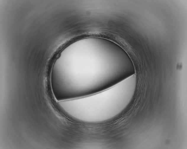 X0000091290728200708101025