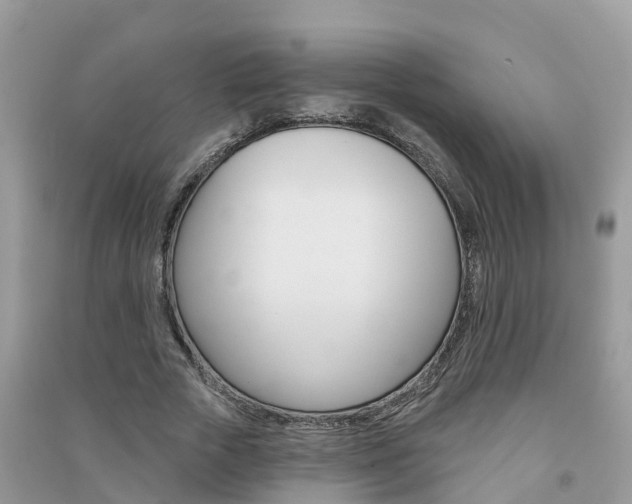 X0000091290729200708101025