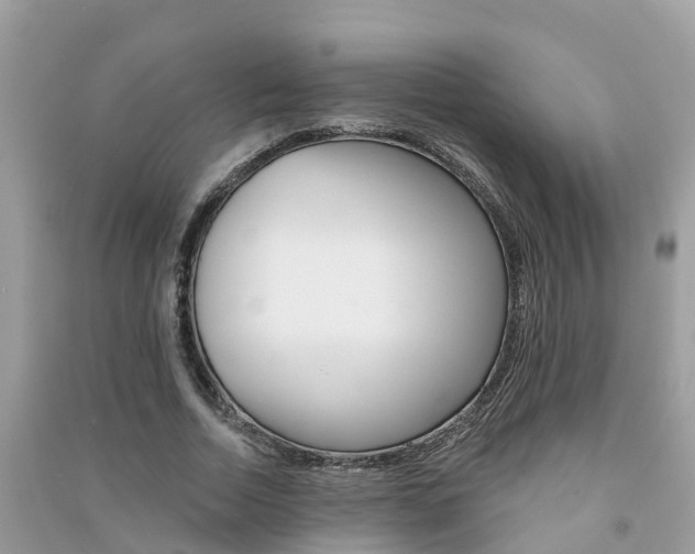 X0000091290730200708101025