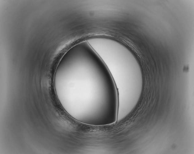 X0000091290732200708101025
