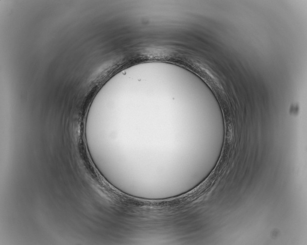 X0000091290733200708101025