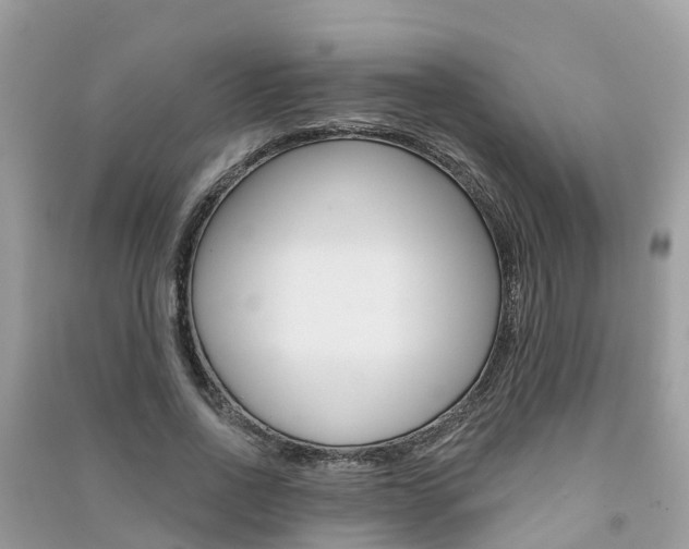 X0000091290734200708101025