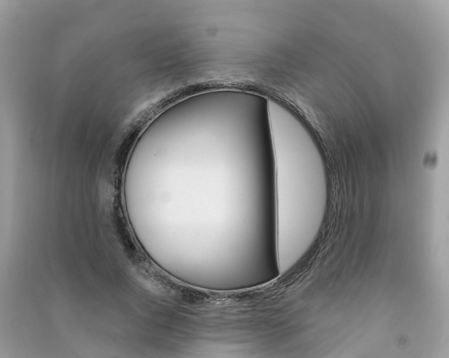 X0000091290736200708101025
