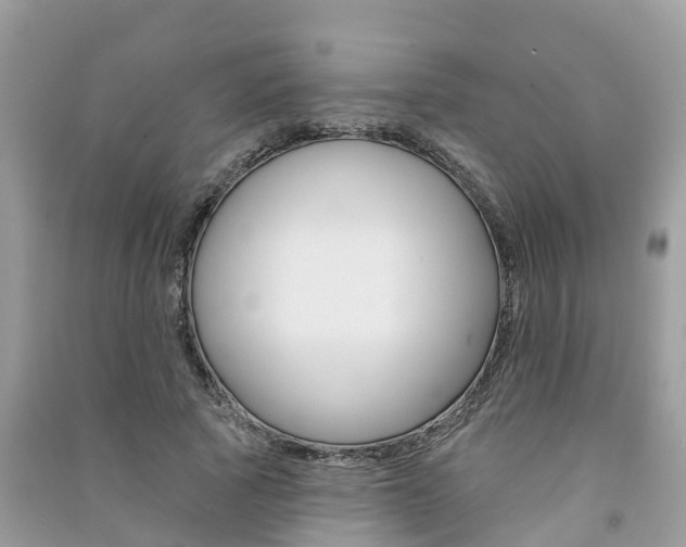 X0000091290737200708101025