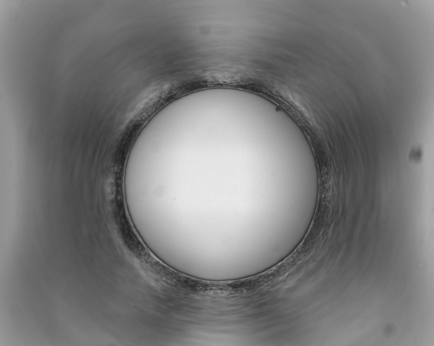 X0000091290738200708101025