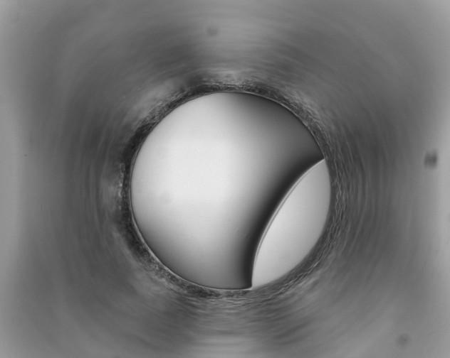 X0000091290739200708101025