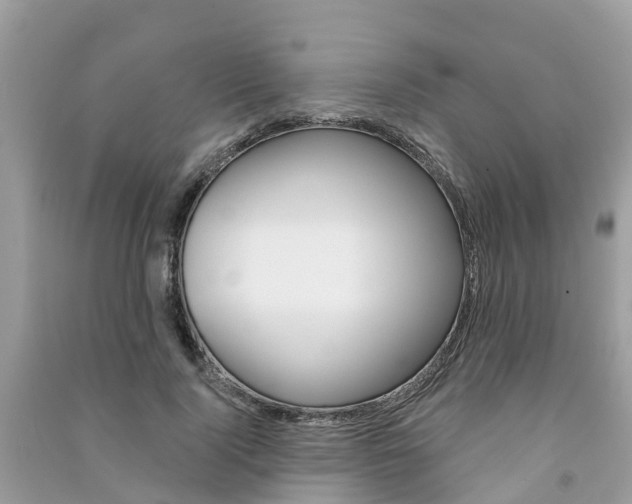 X0000091290740200708101025