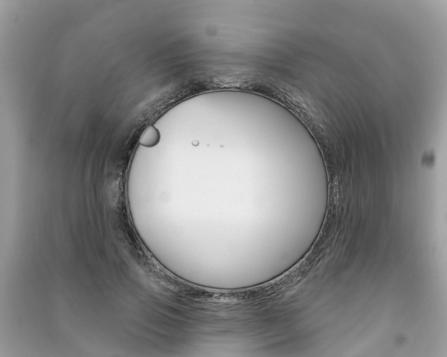 X0000091290741200708101025
