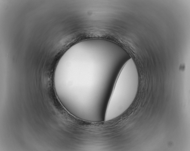 X0000091290743200708101025