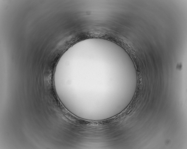 X0000091290745200708101025