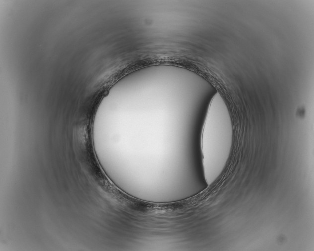 X0000091290746200708101025