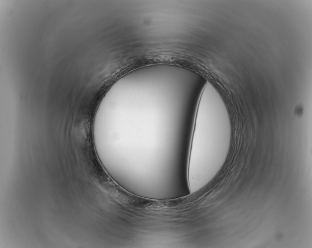X0000091290747200708101025