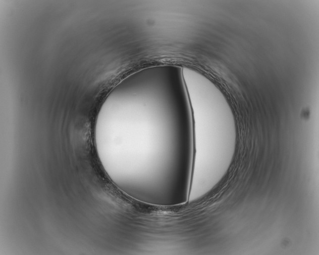 X0000091290748200708101025