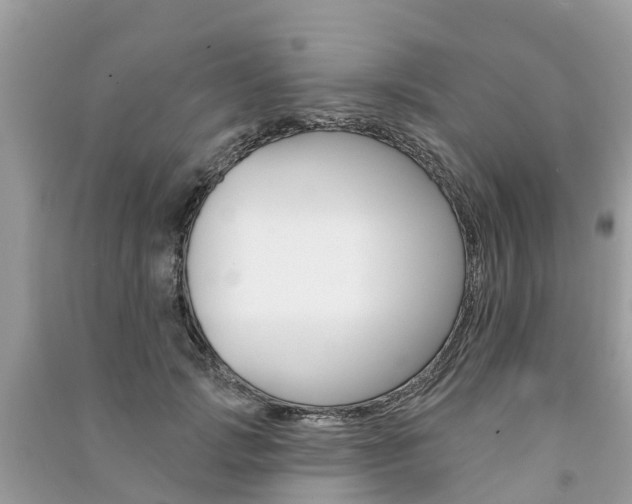X0000091290749200708101025