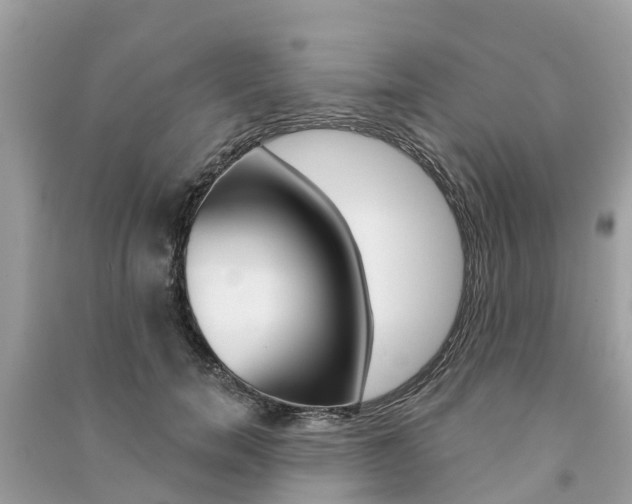 X0000091290750200708101026