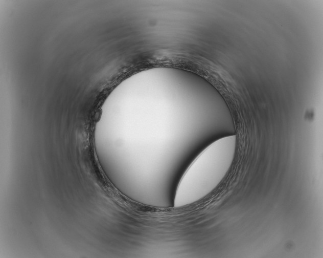 X0000091290751200708101026