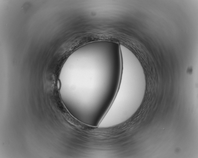 X0000091290752200708101026