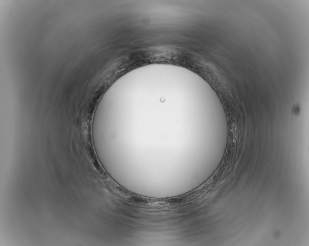 X0000091290753200708101026