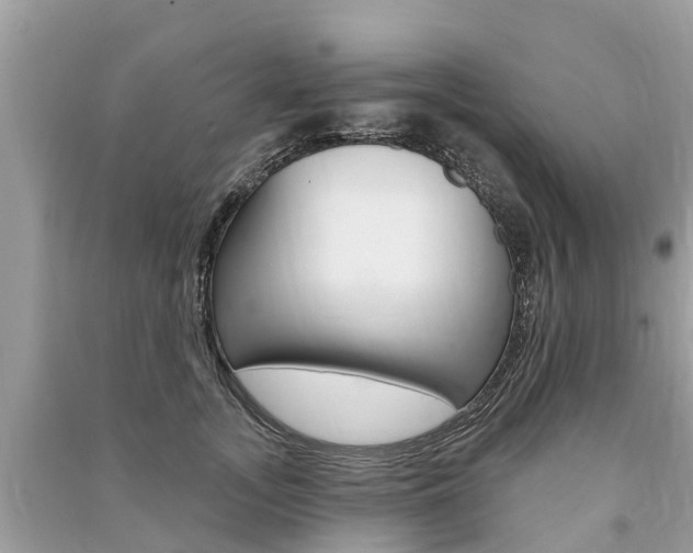 X0000091290755200708101026