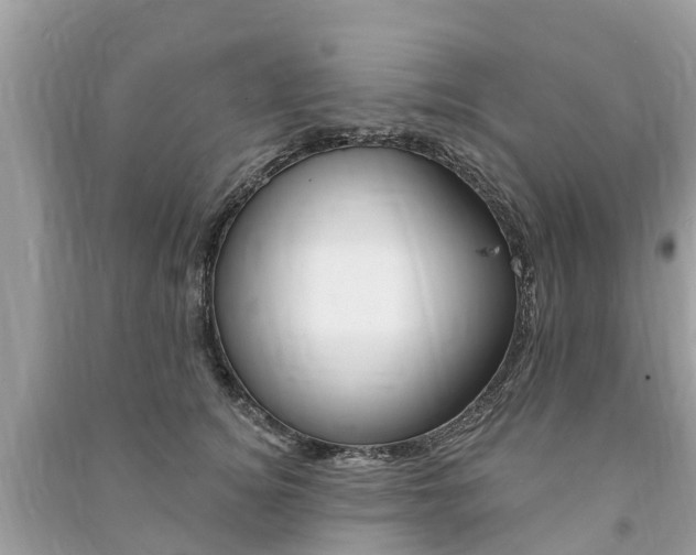X0000091290756200708101026