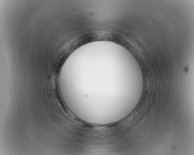 X0000091290757200708101026