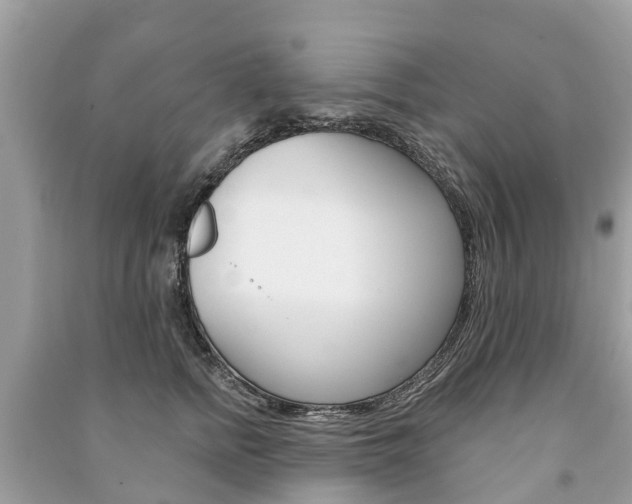X0000091290758200708101026