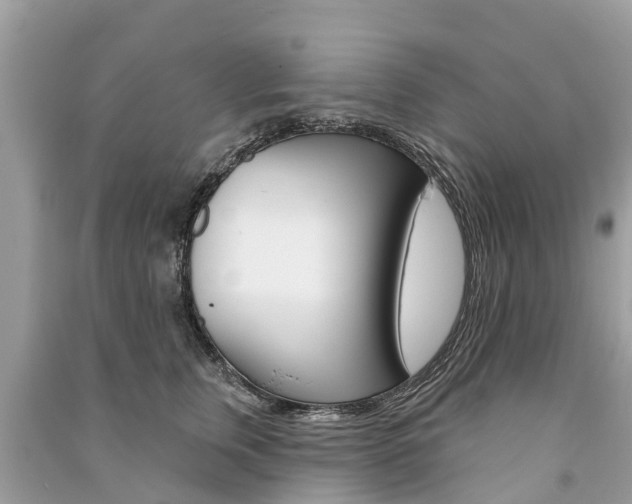 X0000091290759200708101026